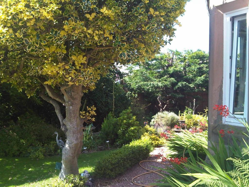 James Cottage Guest House Crieff Esterno foto